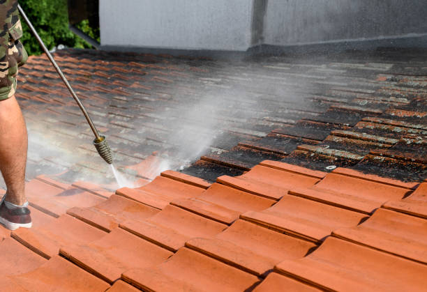Best Affordable Power Washing  in Humboldt Hill, CA