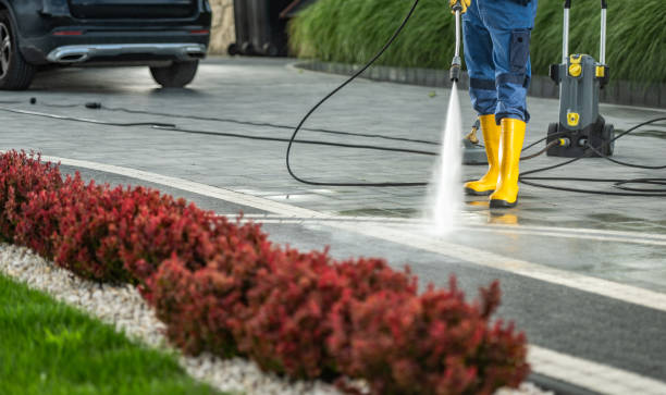 Best Commercial Building Pressure Washing  in Humboldt Hill, CA