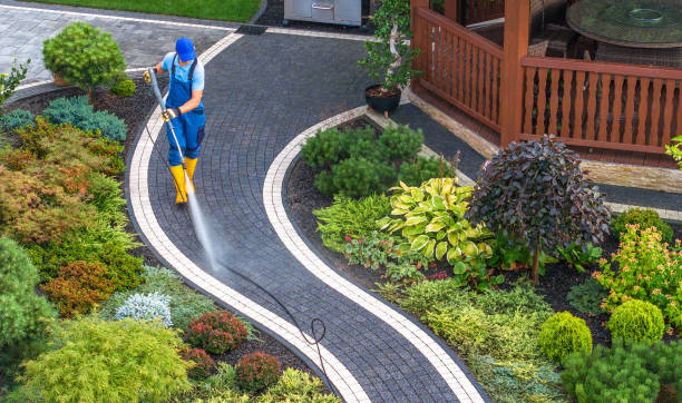 Best Residential Pressure Washing Services  in Humboldt Hill, CA