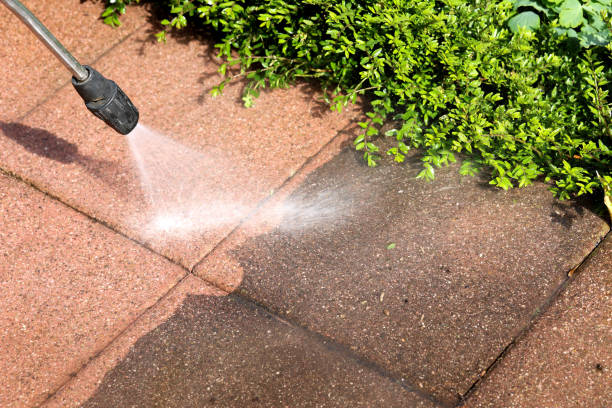 Best Affordable Power Washing  in Humboldt Hill, CA